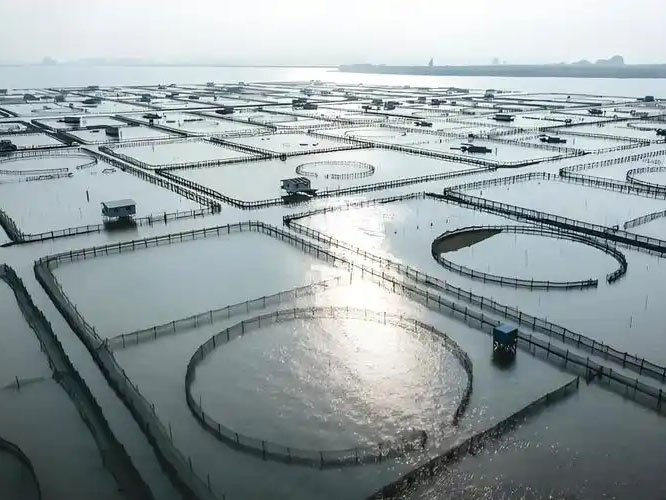 水体环境改进