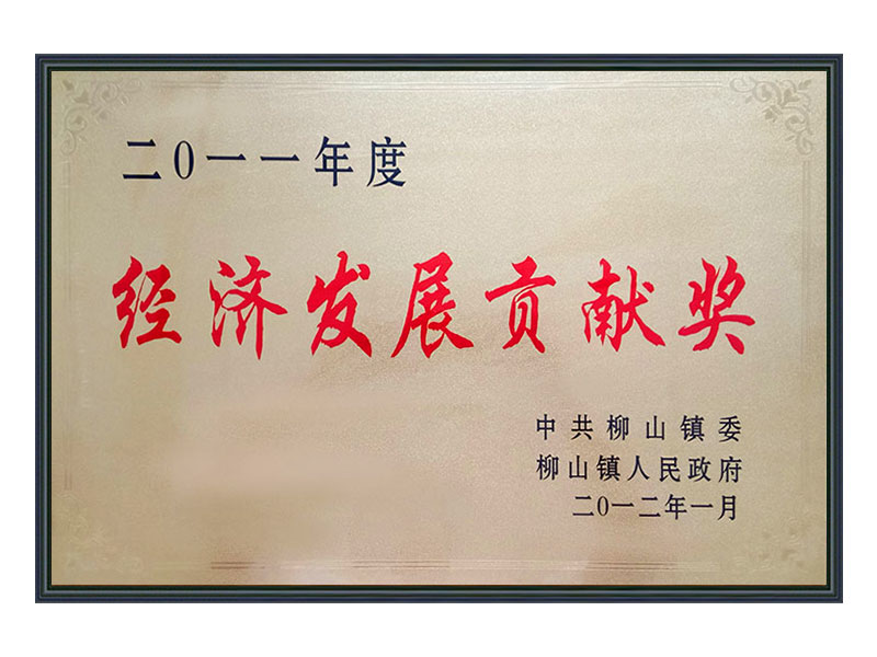 2011年度 经济发展贡献奖