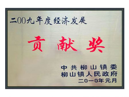 2009年度经济发展 贡献奖
